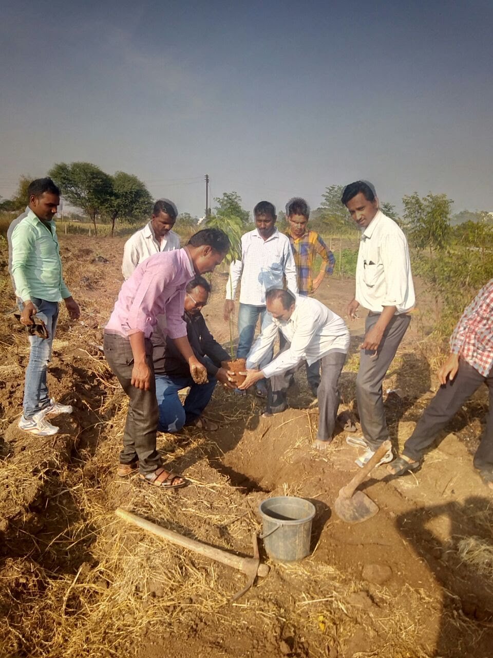 Reforestation Initiative