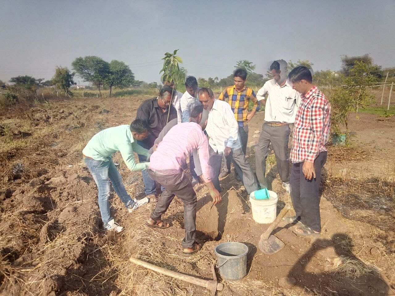 Green Future Plantation