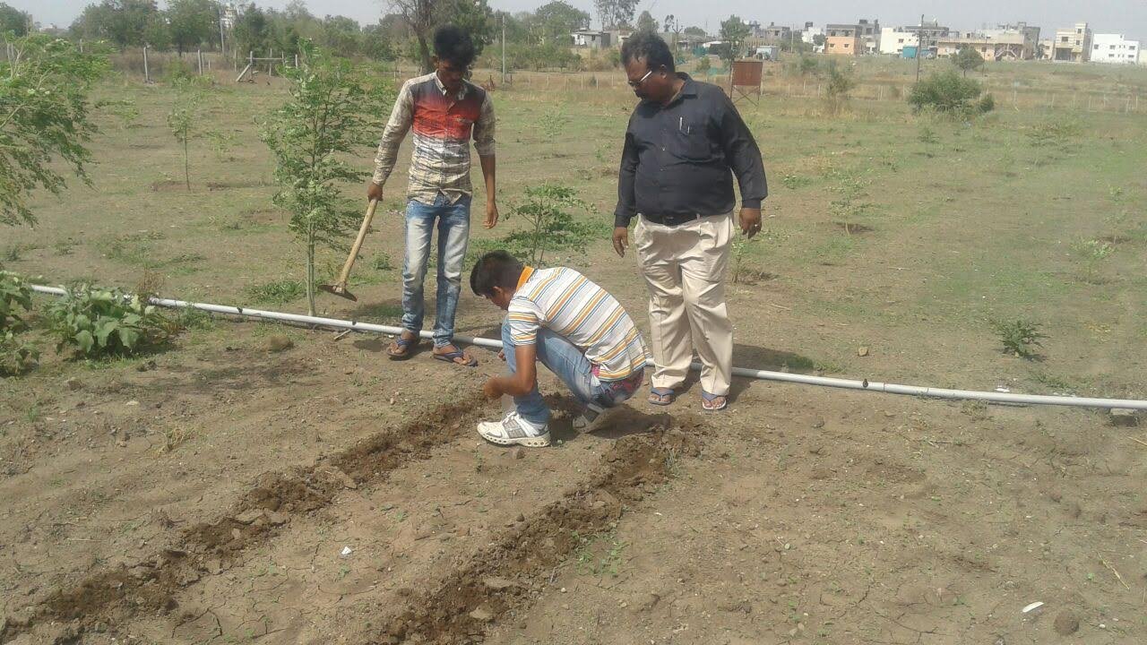 Sustainable Environment Drive