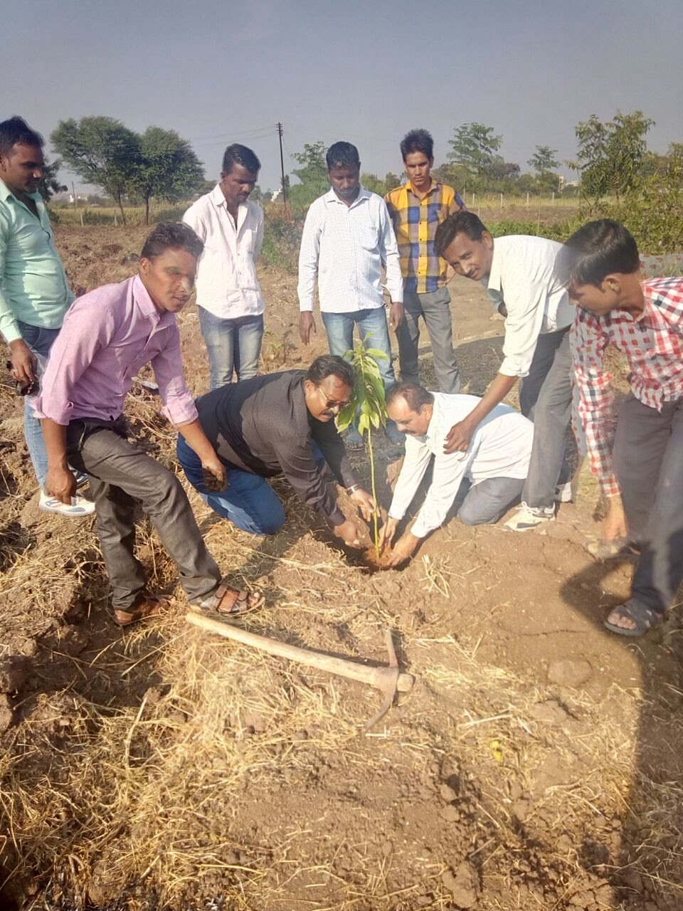 Volunteers Planting Trees