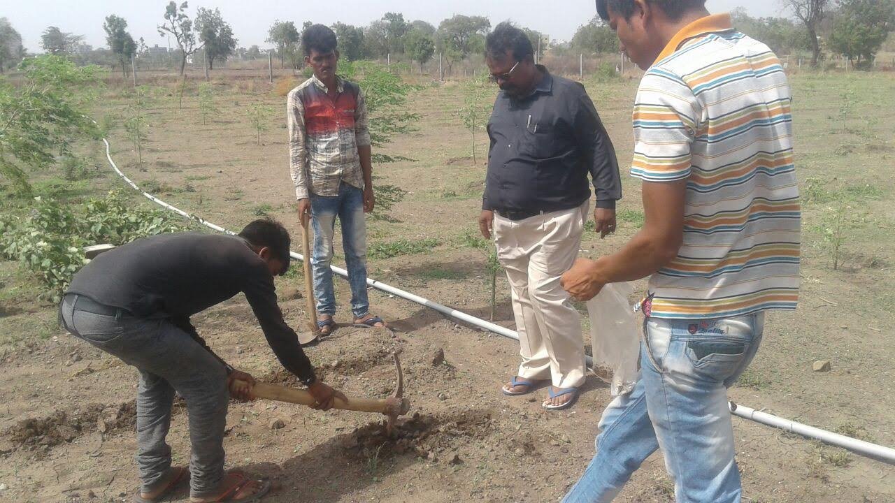 Environmental Awareness Drive